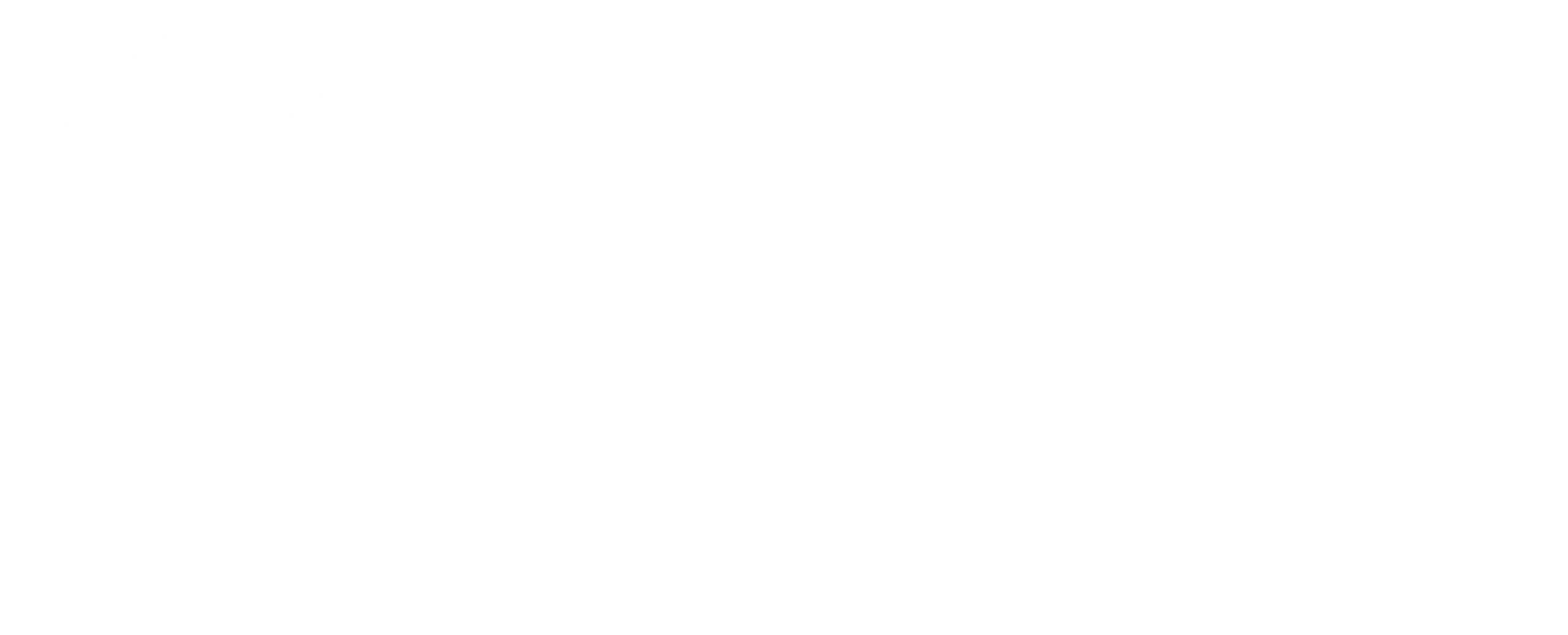 Select Design & Build Long All white (2)